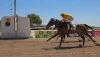 BELAGUA ganando en Pineda (Foto: Hipódromo de Pineda)